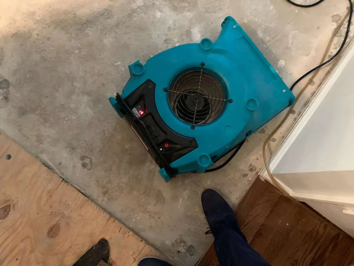 Air mover drying subfloor during Leak Detection & Repair in Wellesley